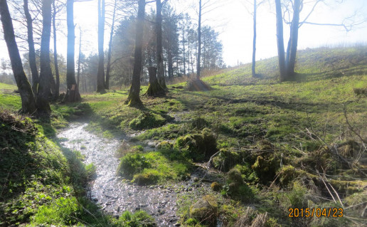 14. Verknės ištakos.jpg